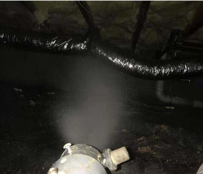 Thermal Fogger being used