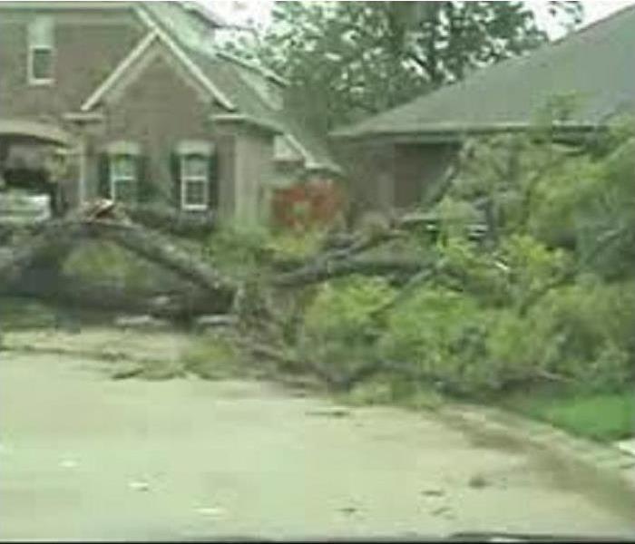 Tree hits home causing damage