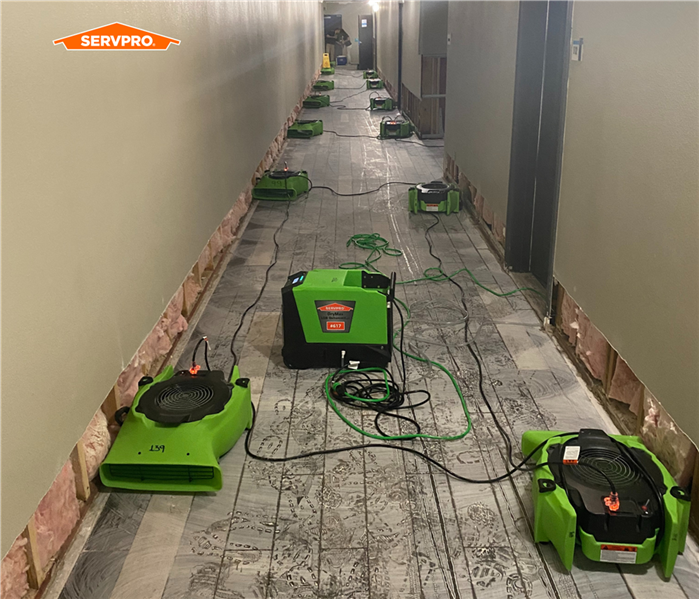 SERVPRO air movers and hepa filters, lime green, on the floor of a hallway in Tampa Southeast near me